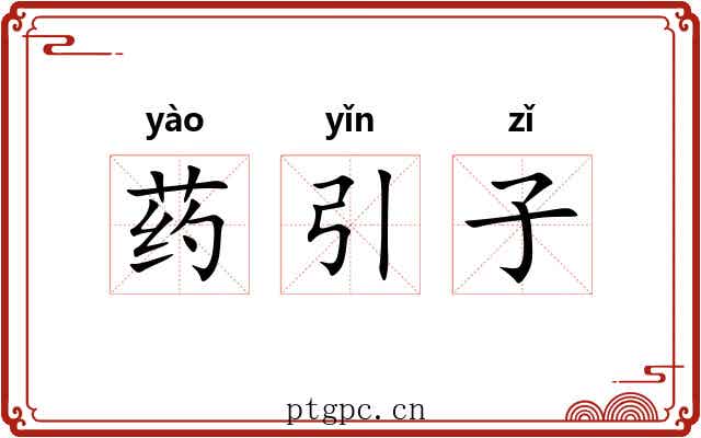 药引子