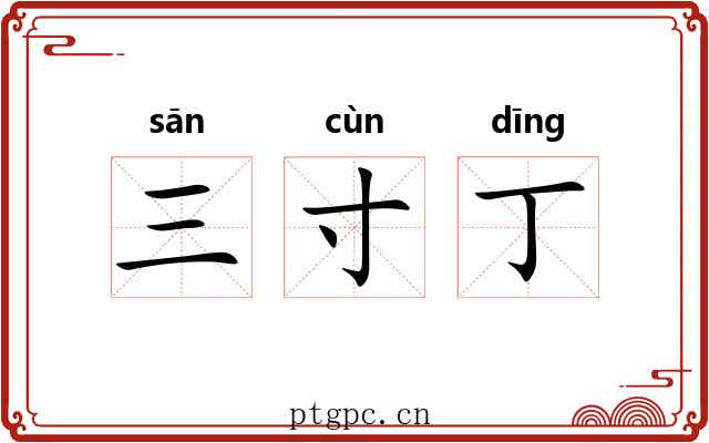 三寸丁
