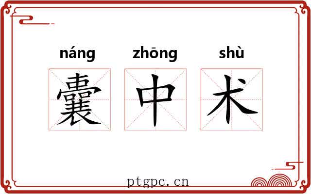 囊中术 囊中术