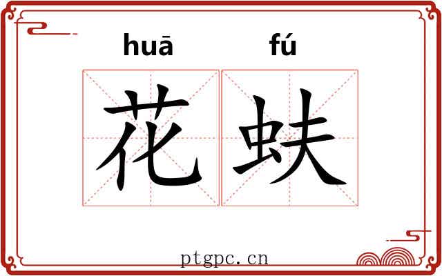 花蚨 花蚨