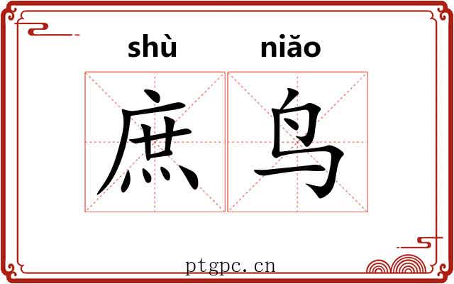 庶鸟