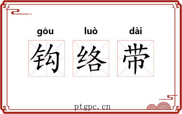 钩络带 钩络带