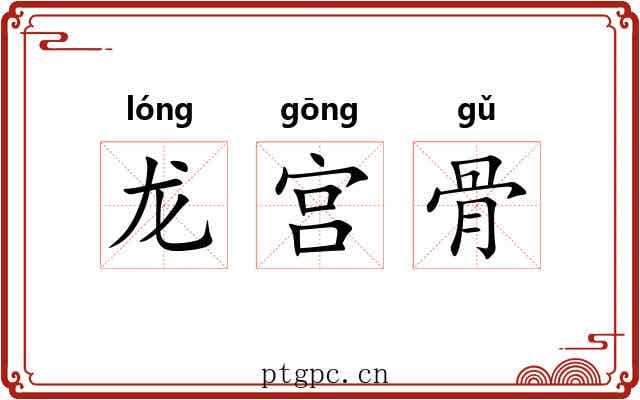 龙宫骨