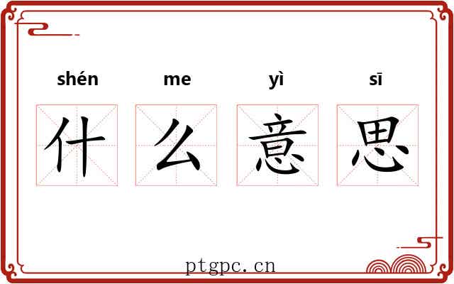 什么意思 什么意思