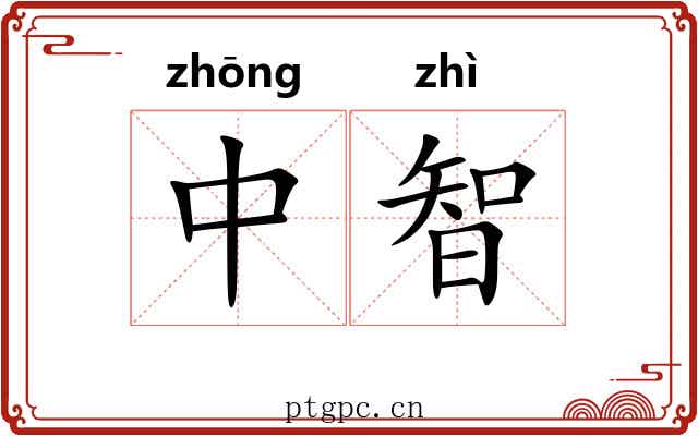 中智 中智