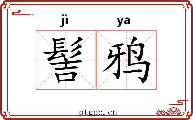 髻鸦