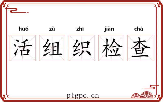 活组织检查