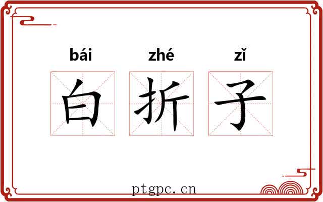 白折子 白折子