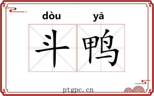 斗鸭 斗鸭