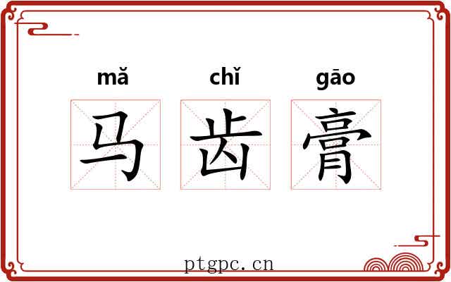 马齿膏 马齿膏