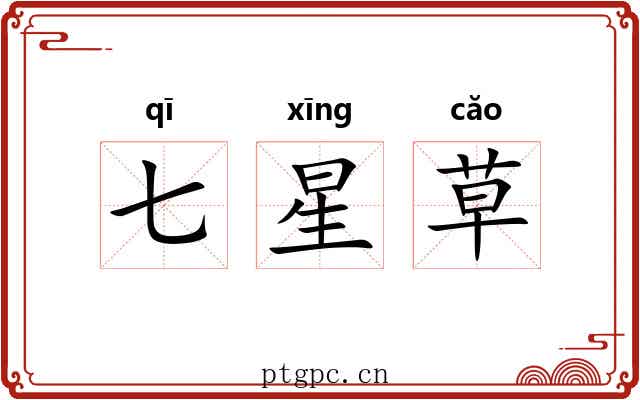 七星草 七星草