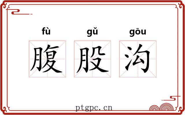 腹股沟 腹股沟