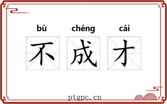 不成才 不成才