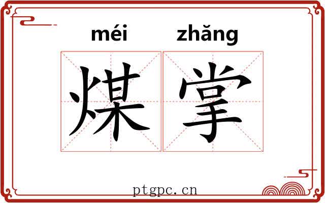 煤掌