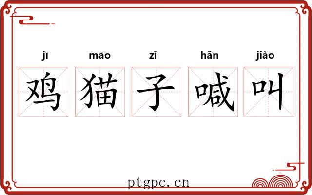鸡猫子喊叫 鸡猫子喊叫