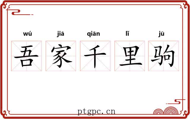 吾家千里驹