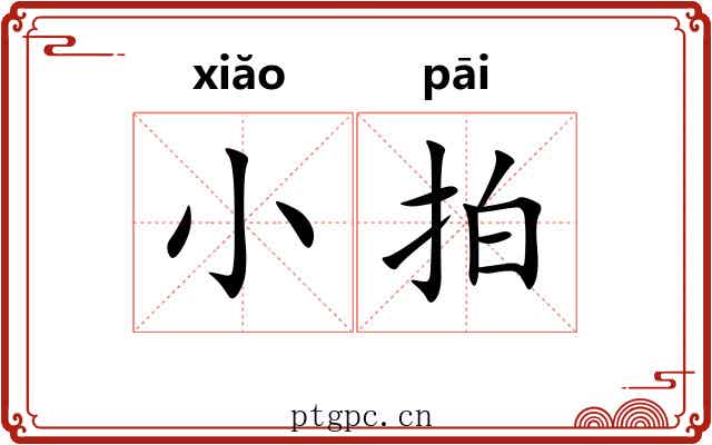 小拍 小拍