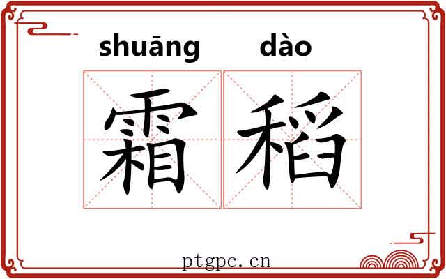 霜稻