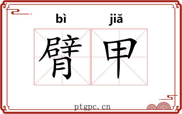 臂甲 臂甲