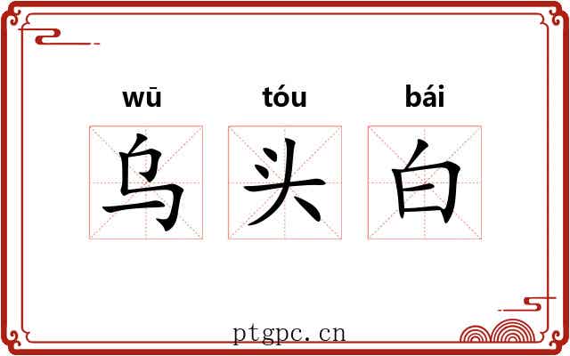 乌头白 乌头白