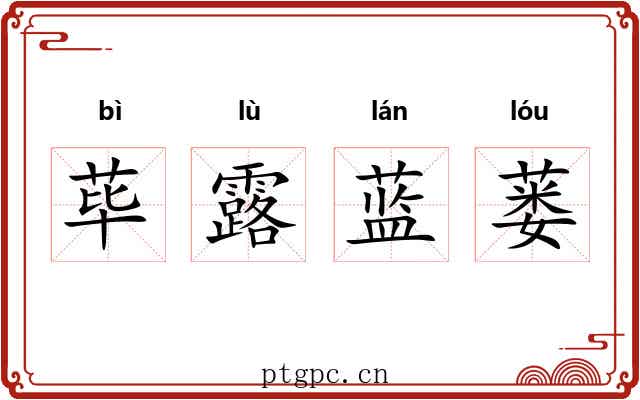 荜露蓝蒌 荜露蓝蒌