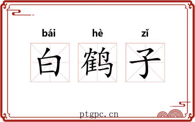 白鹤子 白鹤子