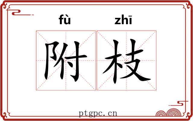 附枝 附枝
