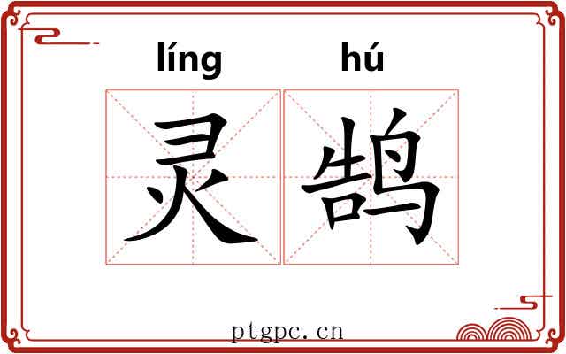 灵鹄
