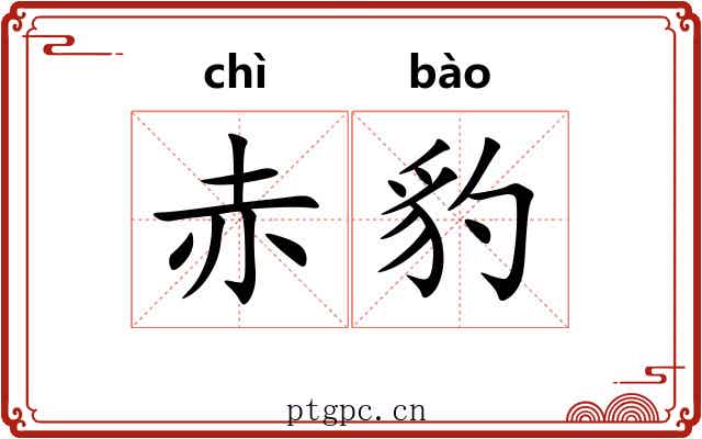 赤豹