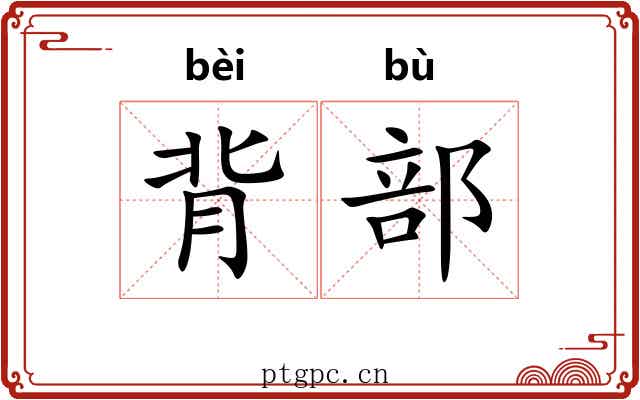 背部