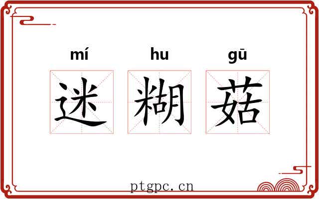 迷糊菇 迷糊菇