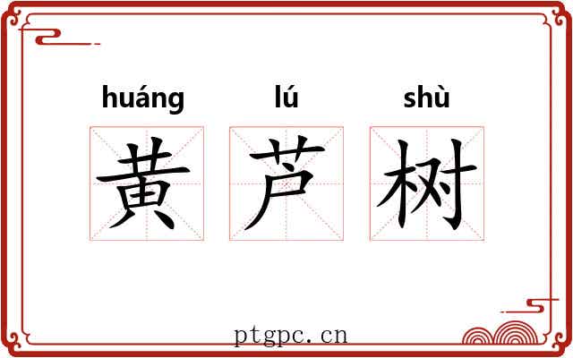 黄芦树