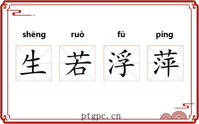 生若浮萍
