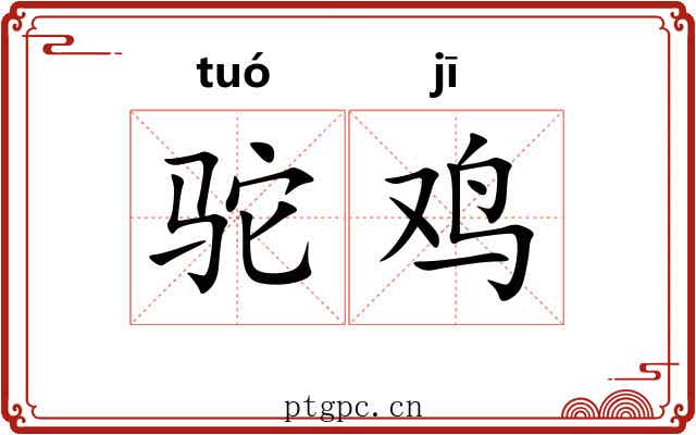 驼鸡
