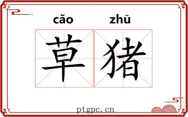 草猪 草猪