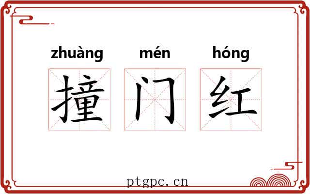 撞门红 撞门红