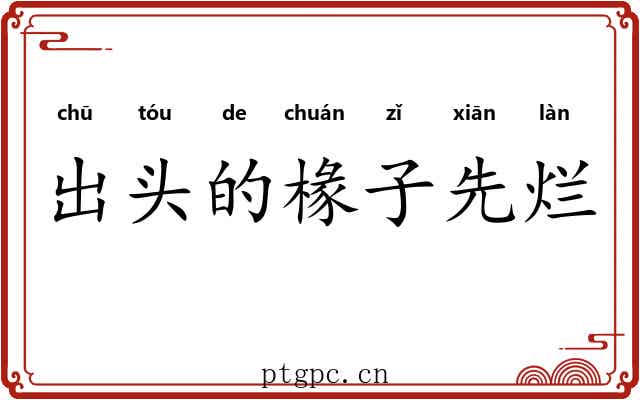 出头的椽子先烂 出头的椽子先烂