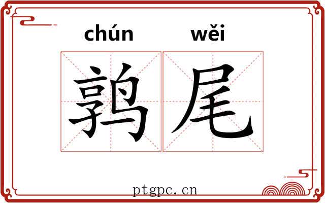 鹑尾 鹑尾