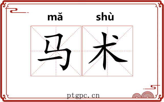 马术 马术