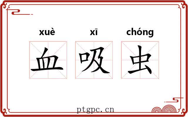血吸虫 血吸虫