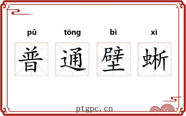 普通壁蜥 普通壁蜥