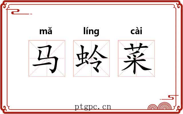 马蛉菜
