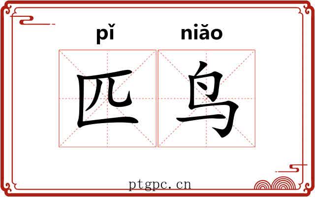 匹鸟
