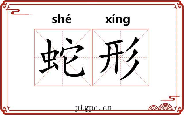蛇形
