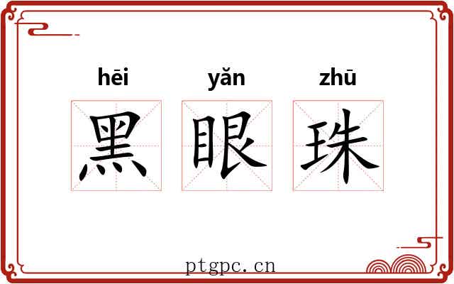 黑眼珠 黑眼珠
