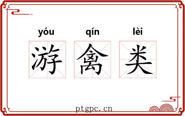 游禽类 游禽类