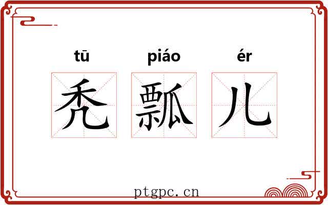 秃瓢儿 秃瓢儿