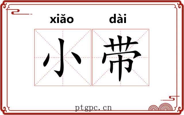 小带 小带