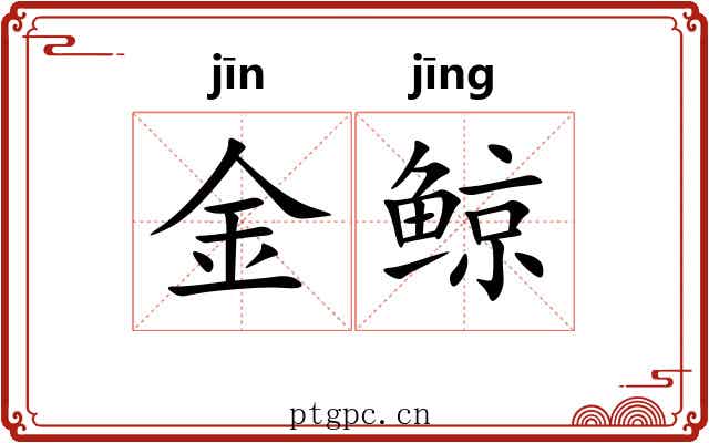 金鲸 金鲸