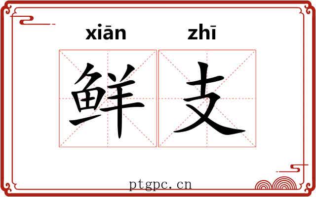鲜支 鲜支
